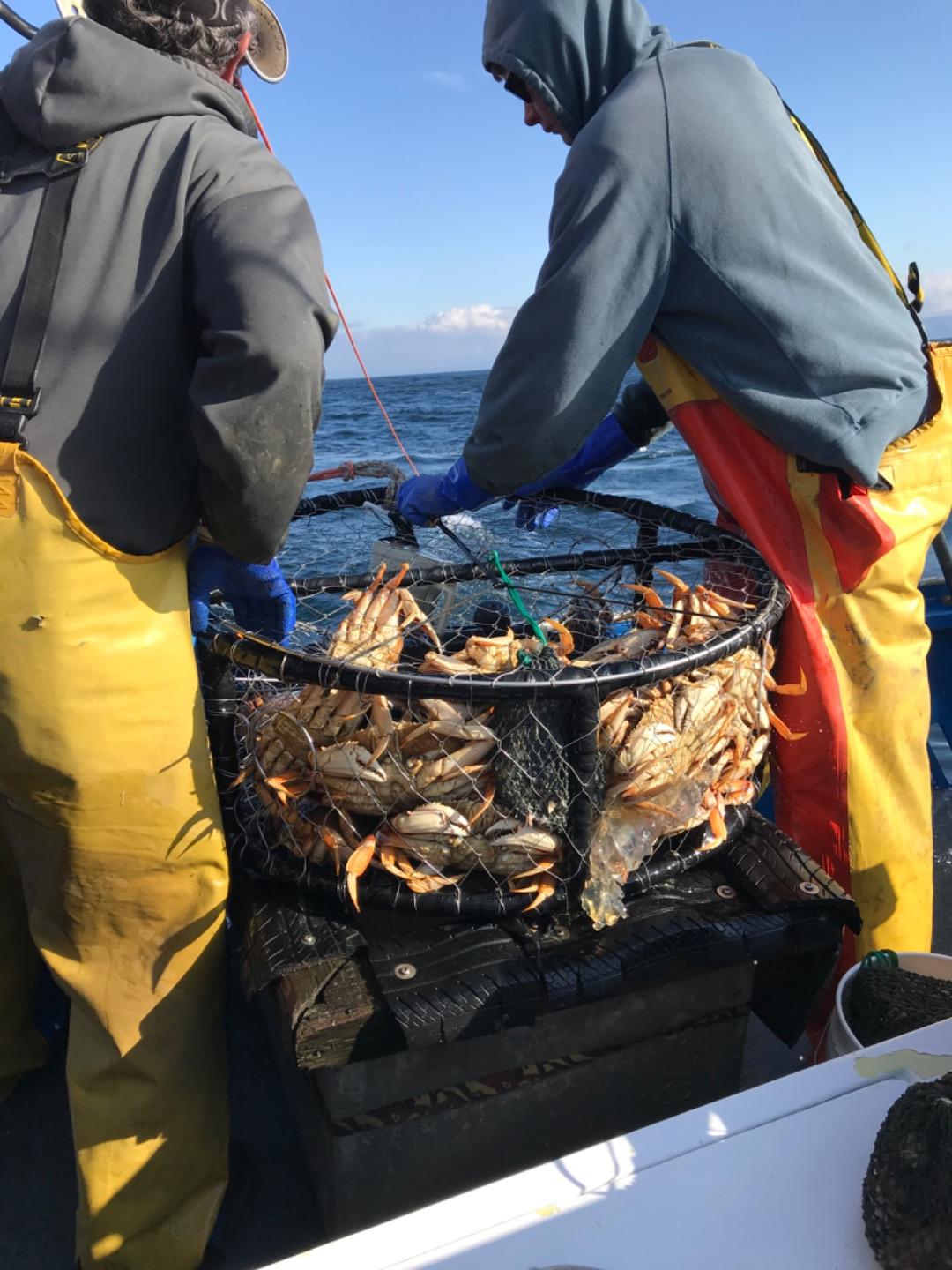 33 limits crab at8:57 am