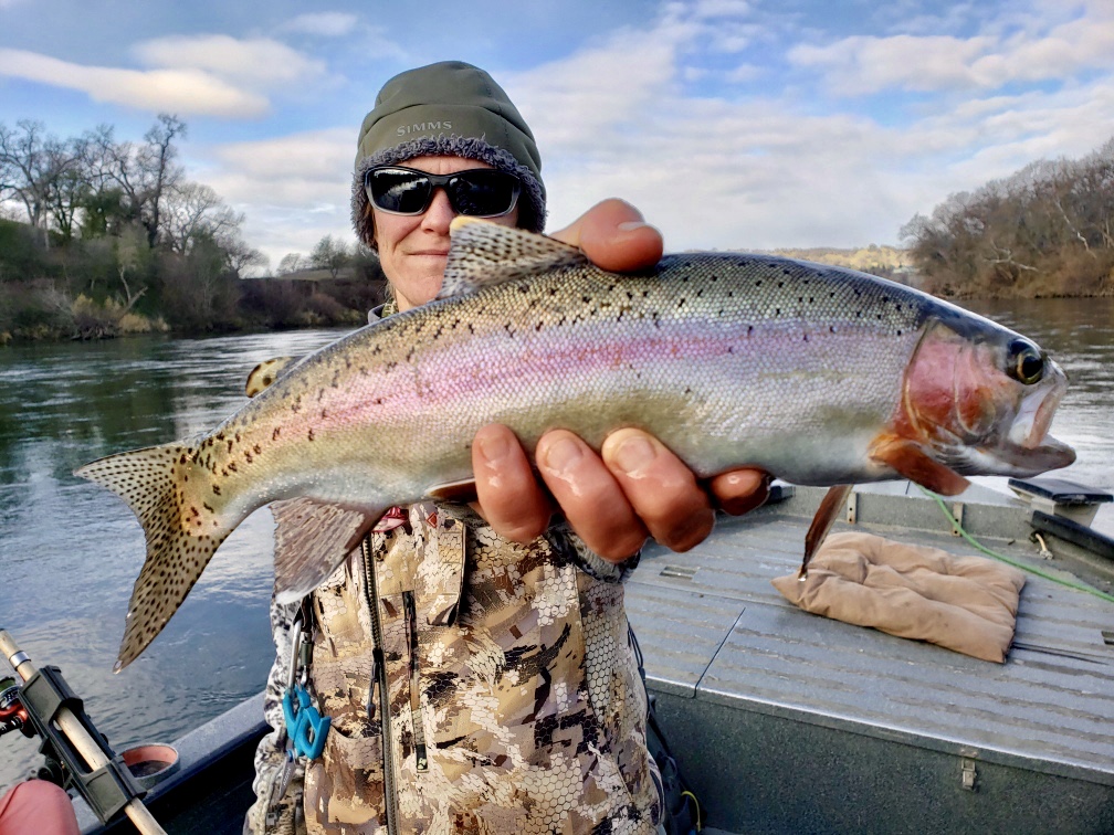 Red Bluff rainbows on tap today!