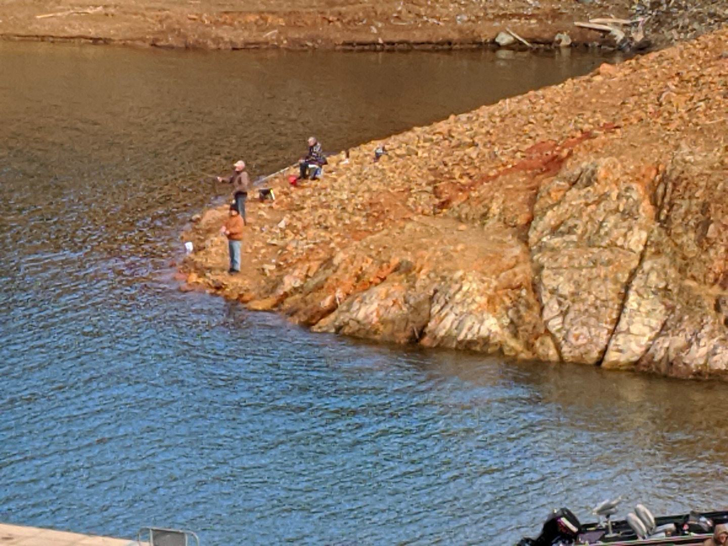 Shasta Lake Trout From The Bank 