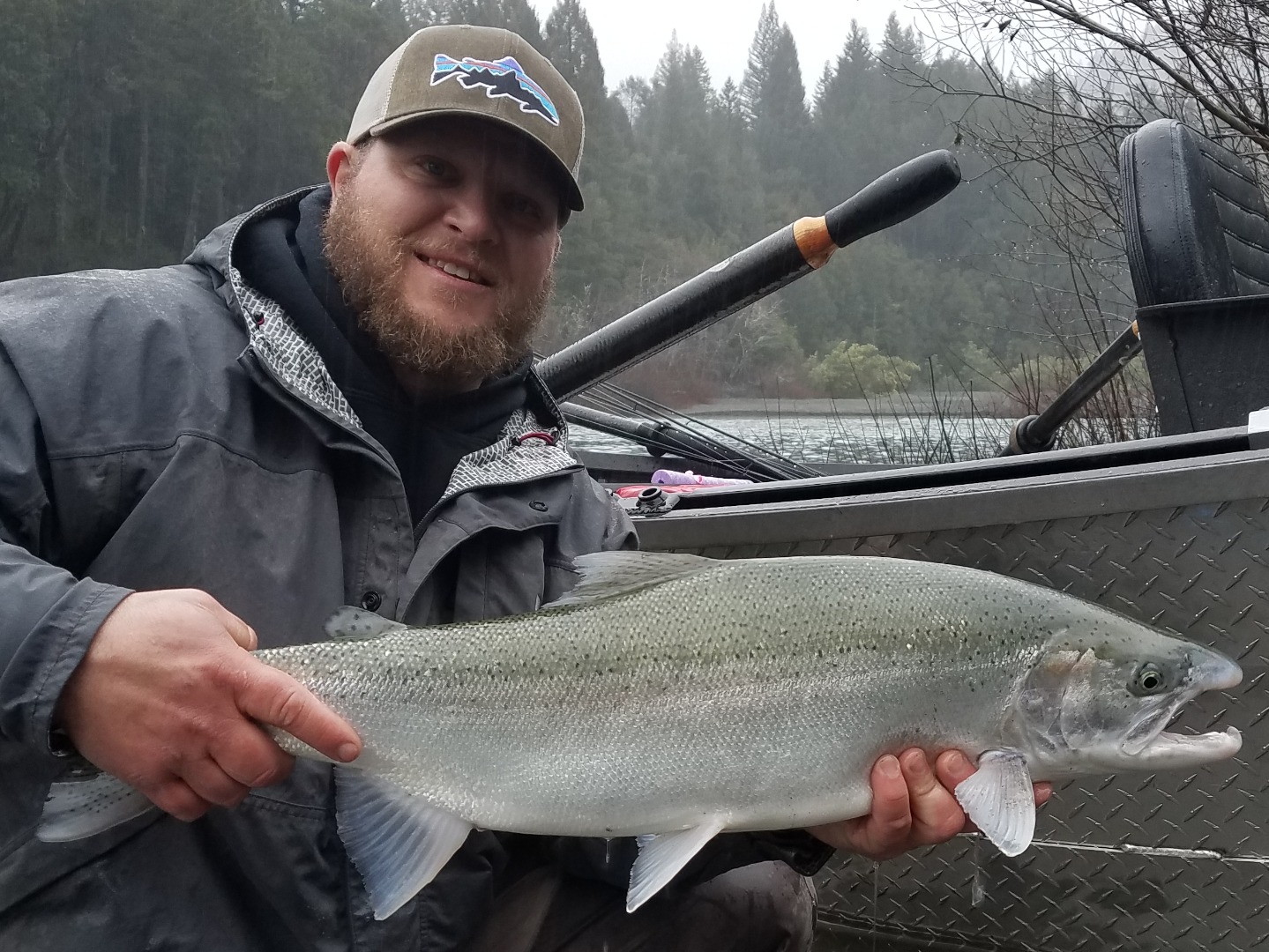 Coastal Steehead Fishing Is Heating Up