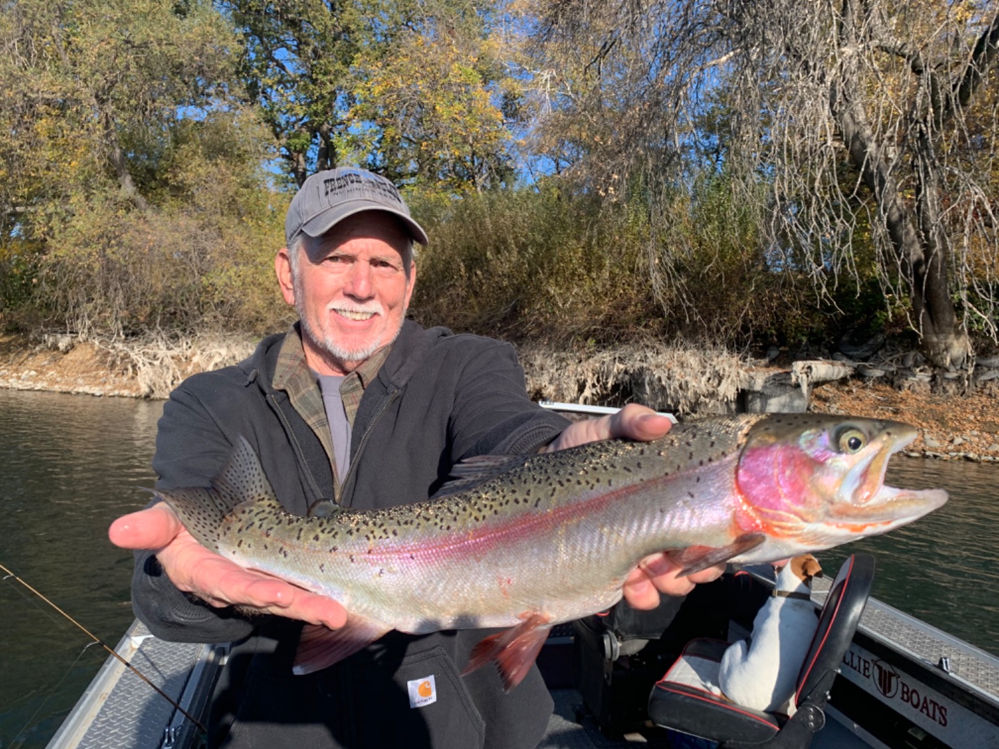 Steelhead and Trout 