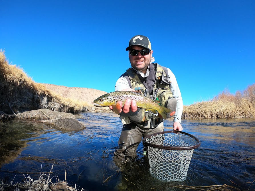 Owens River - Lower Fish Report - Bishop, CA (Inyo County)