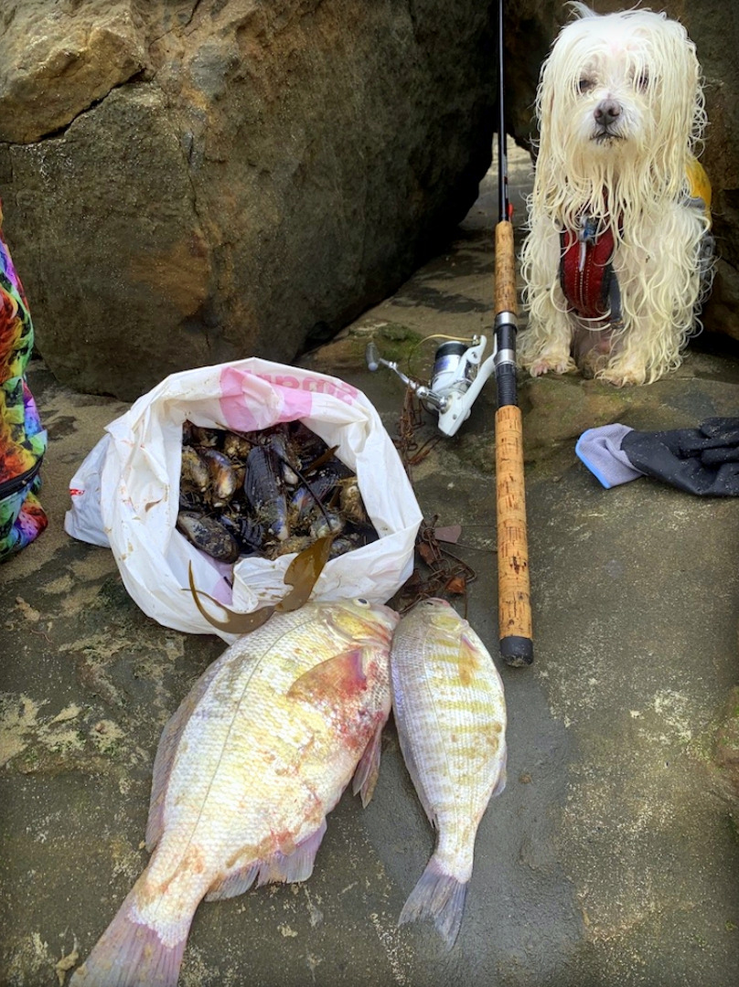 Surfcasting in Santa Cruz Has Been Tough Until You Find The Right Spot