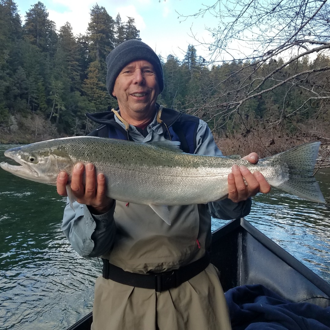 steelhead california fishing planet