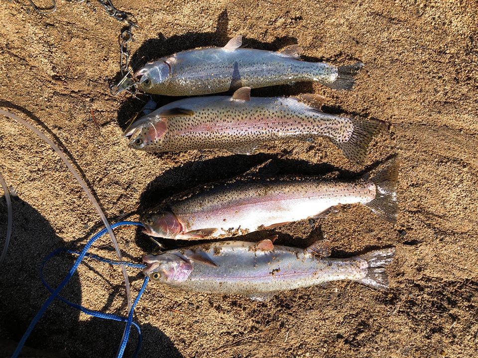 Antelope Lake Fishing Report