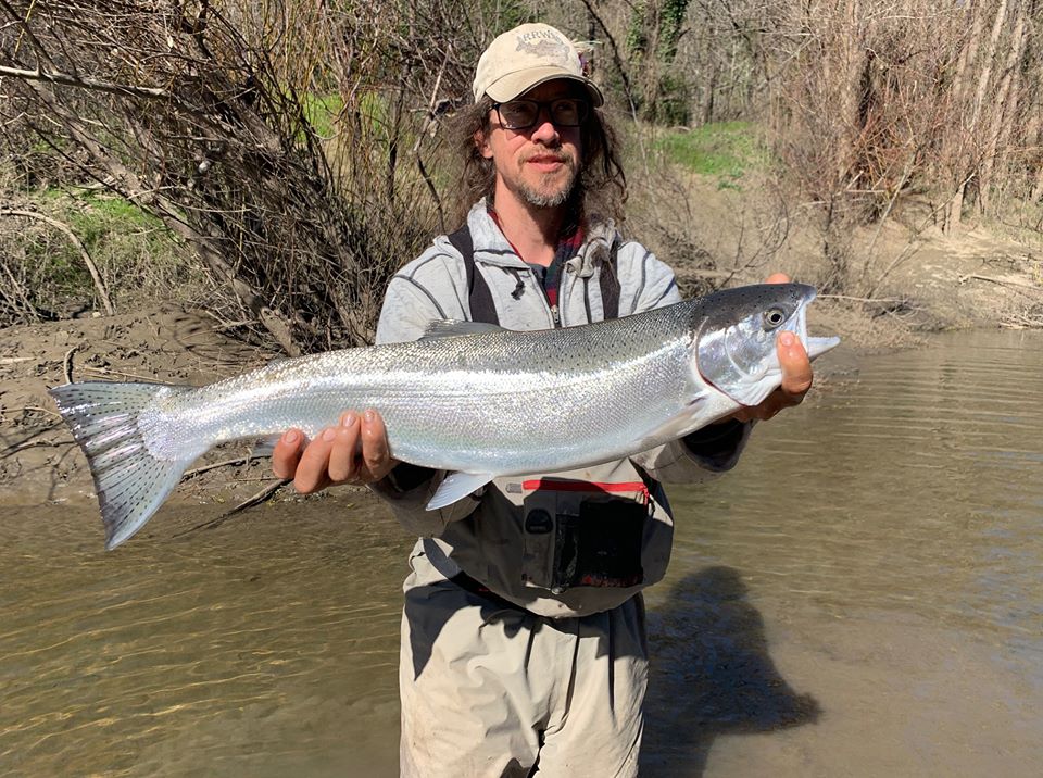 Russian River Fish Report - Russian River - Conditions on The Russian  Couldn't Get Much Better - February 13, 2020