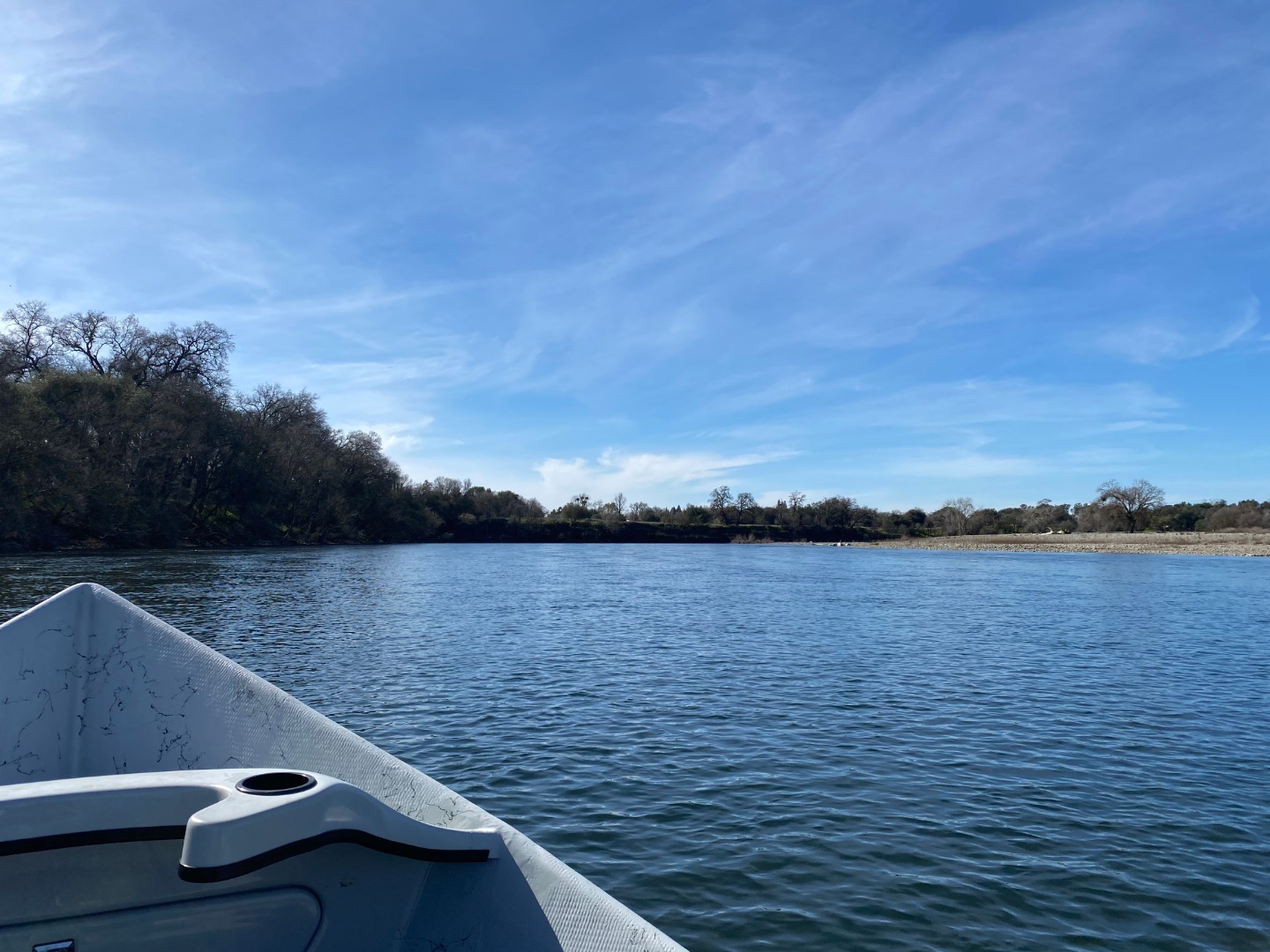 Presidents' Day Weekend American River