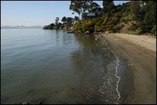 Ferry Point Pier Fishing Report