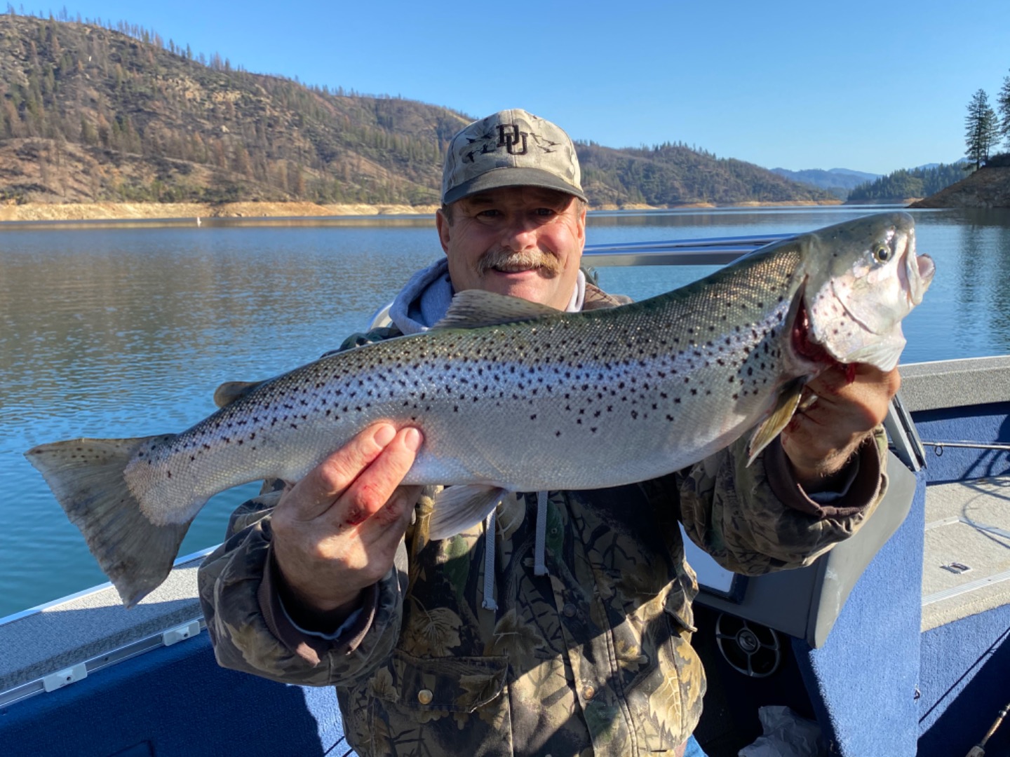 Big brown trout on Shasta lake !