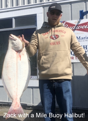 Halibut Are Starting To Push All Over The Bay