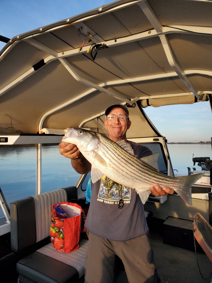 Striped bass fishing 