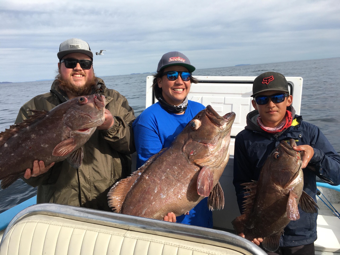 Bahía de los Ángeles - Joel Jr's Sport Fishing on the nice Star