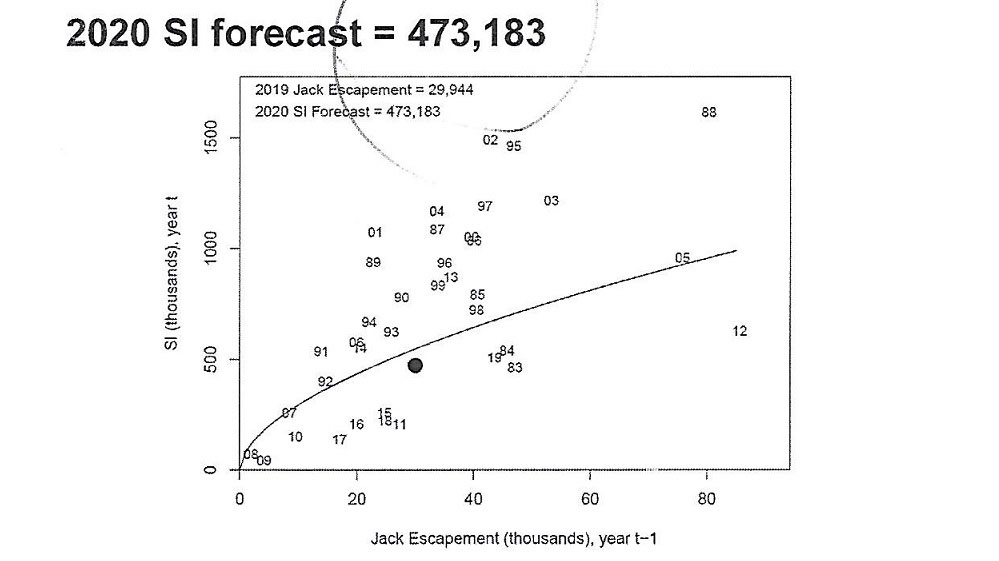  2020 Salmon Update