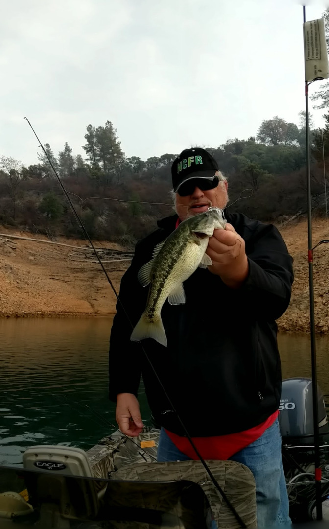 Shasta Bass Cooperative, Baum Trout Not 