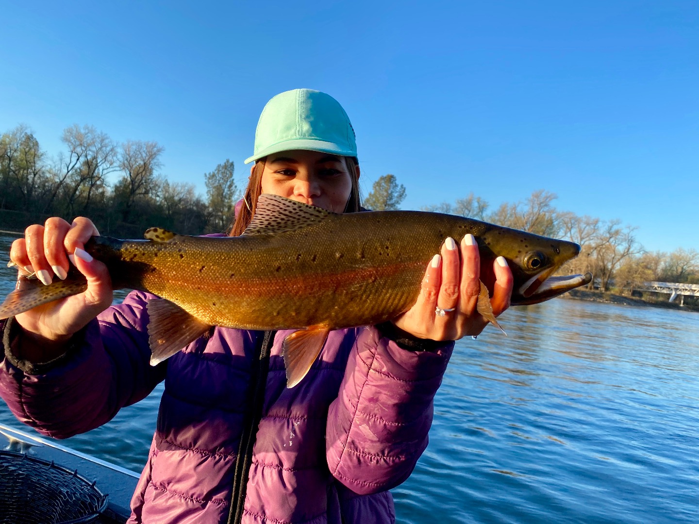 Curing eggs for Sacramento River King salmon — Jeff Goodwin Fishing