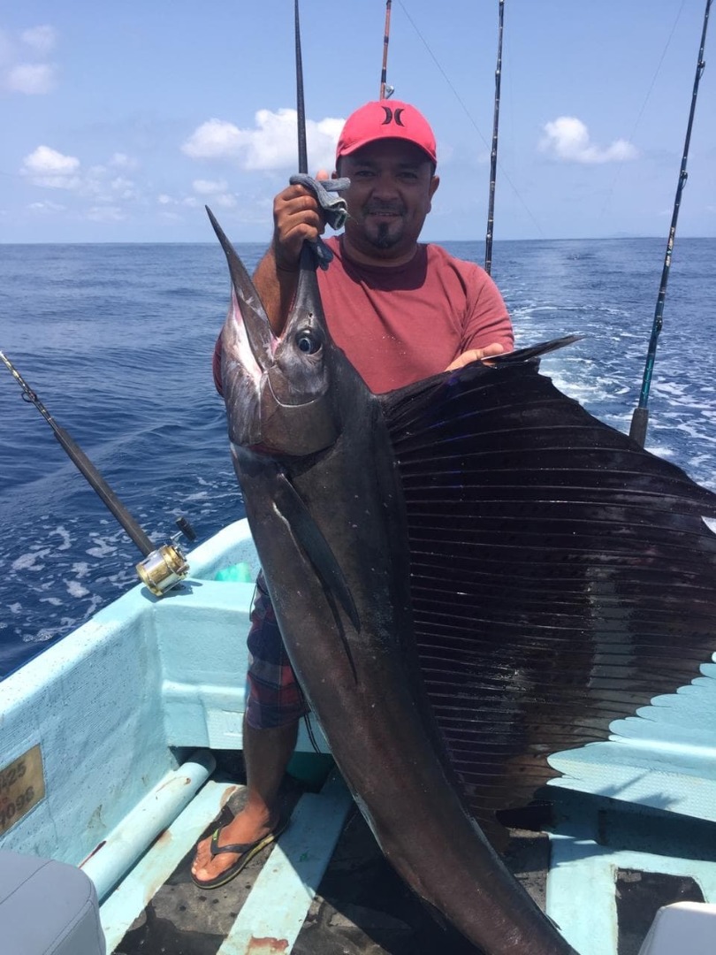 Baja Marlin / Sailfish