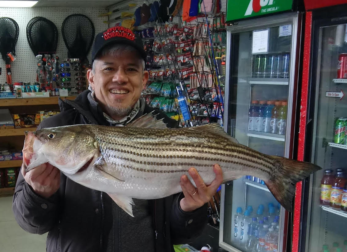 Castaic Lake Fish Report - Castaic, CA (Los Angeles County)