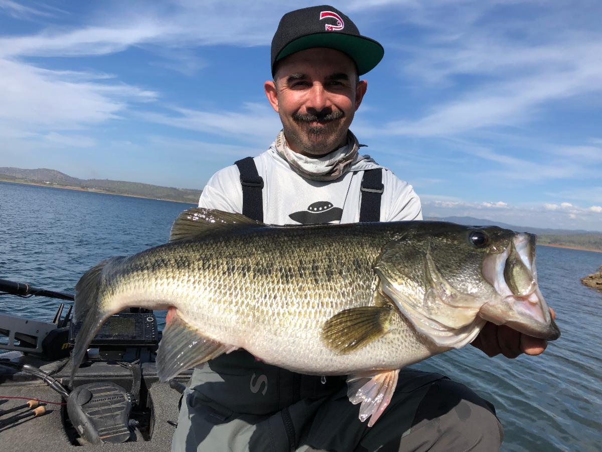 New Melones Anglers Report