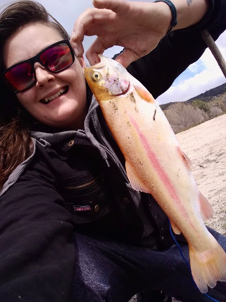 Hemet Lake Fish Report - Mountain Center CA Riverside County 