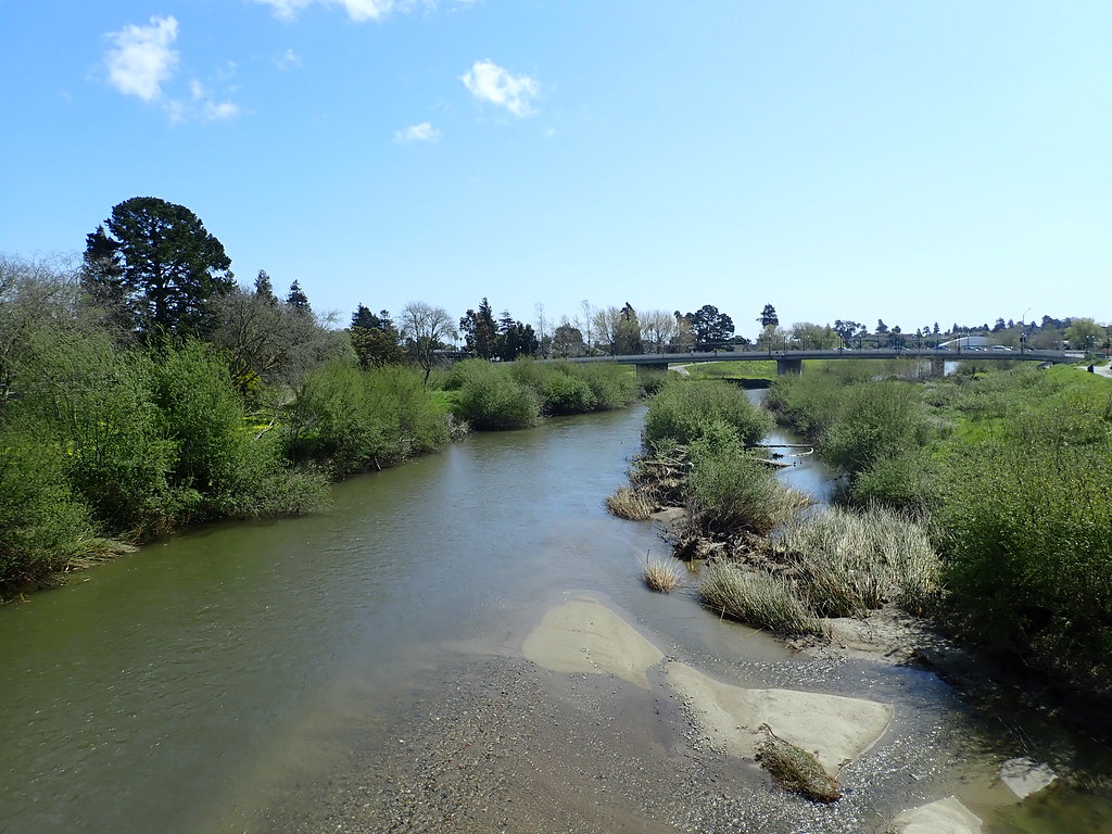 San Lorenzo River Fish Report San Lorenzo River Heart of Santa