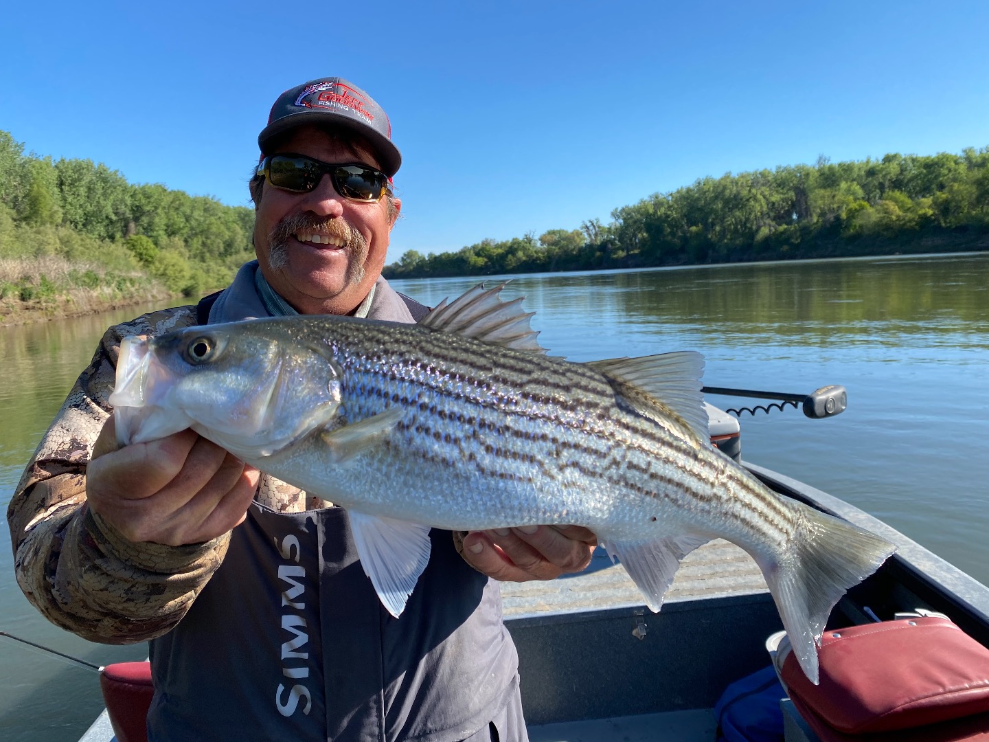 Stripers are loaded up in the Colusa area!