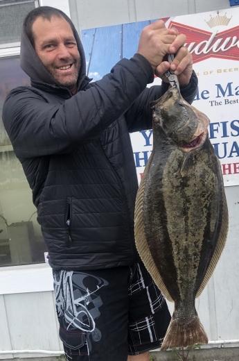Good Scores of Halibut Being Caught