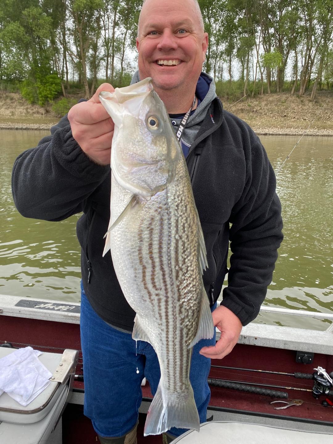 Striper bite is as good as it gets!