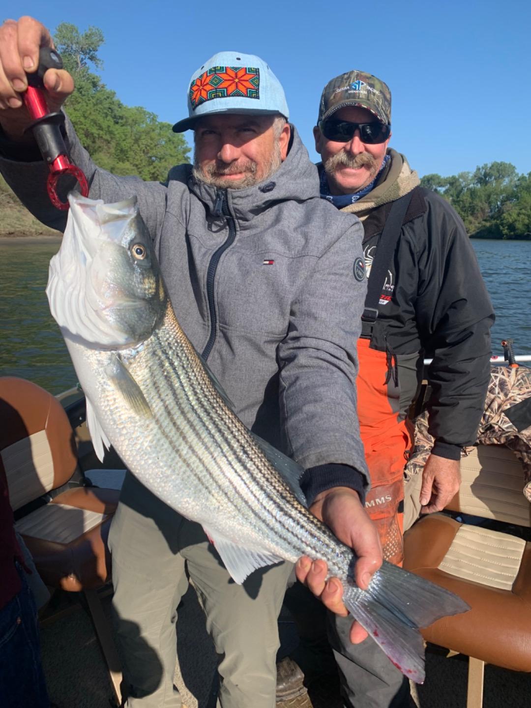 Colusa striped bass fishing