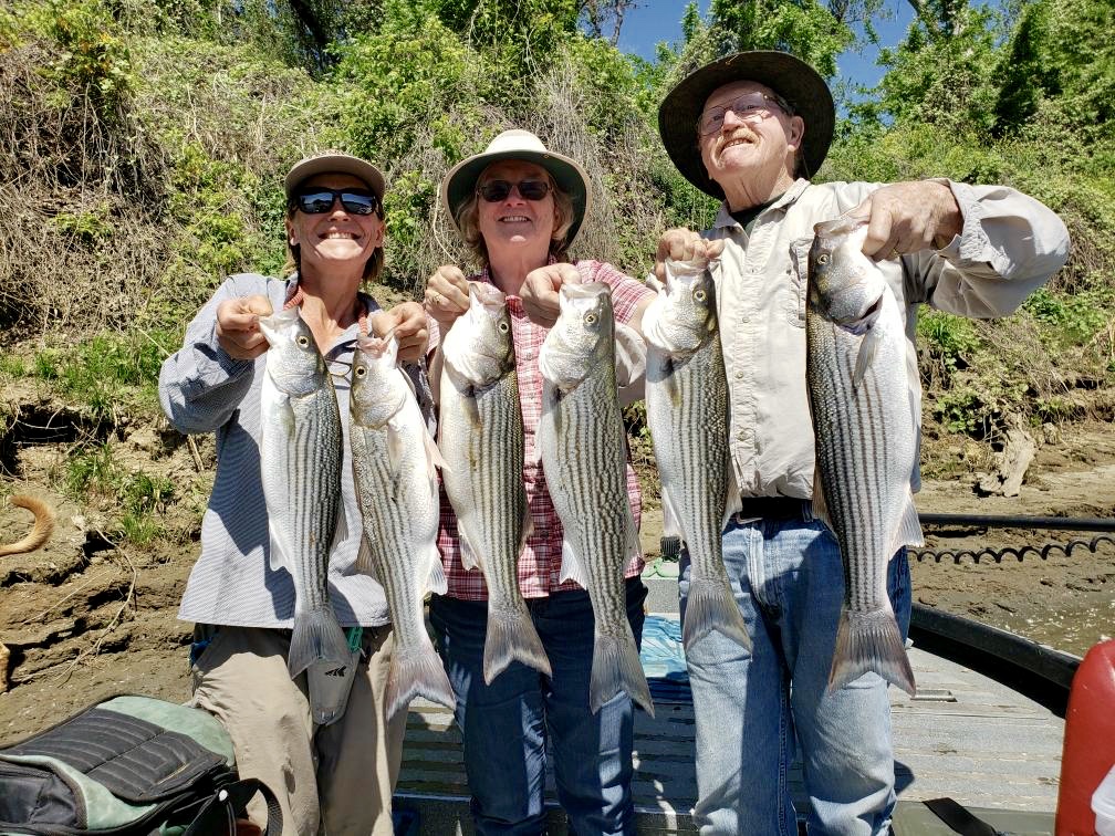 Colusa Striped Bass schools moving in and out of the area.