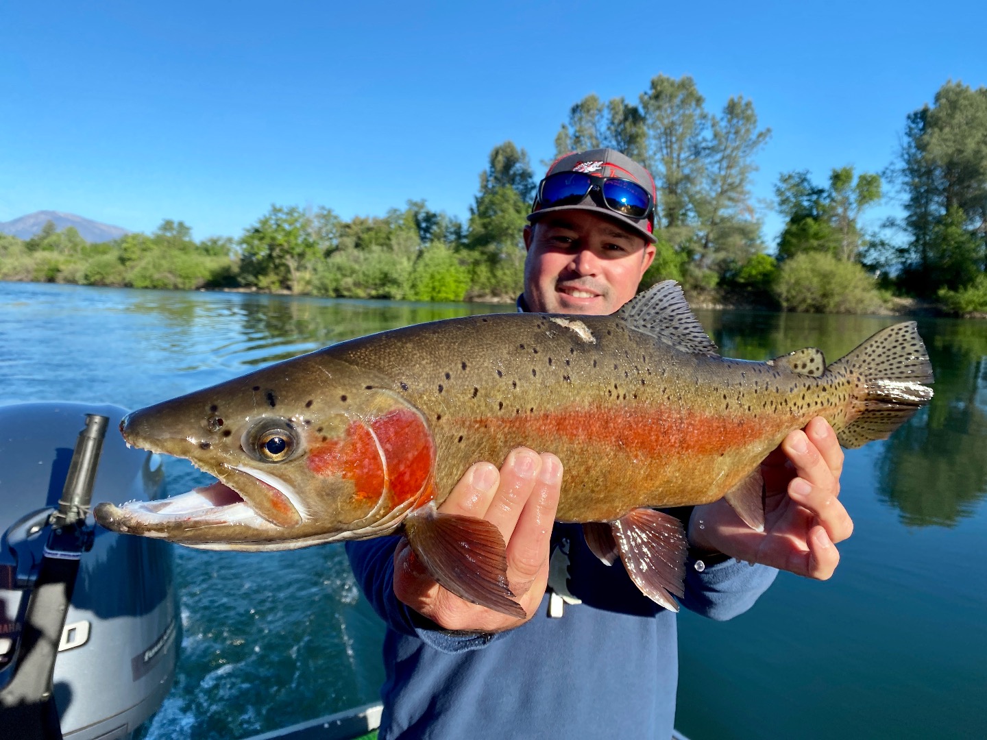 Wide open trout bite in Redding!