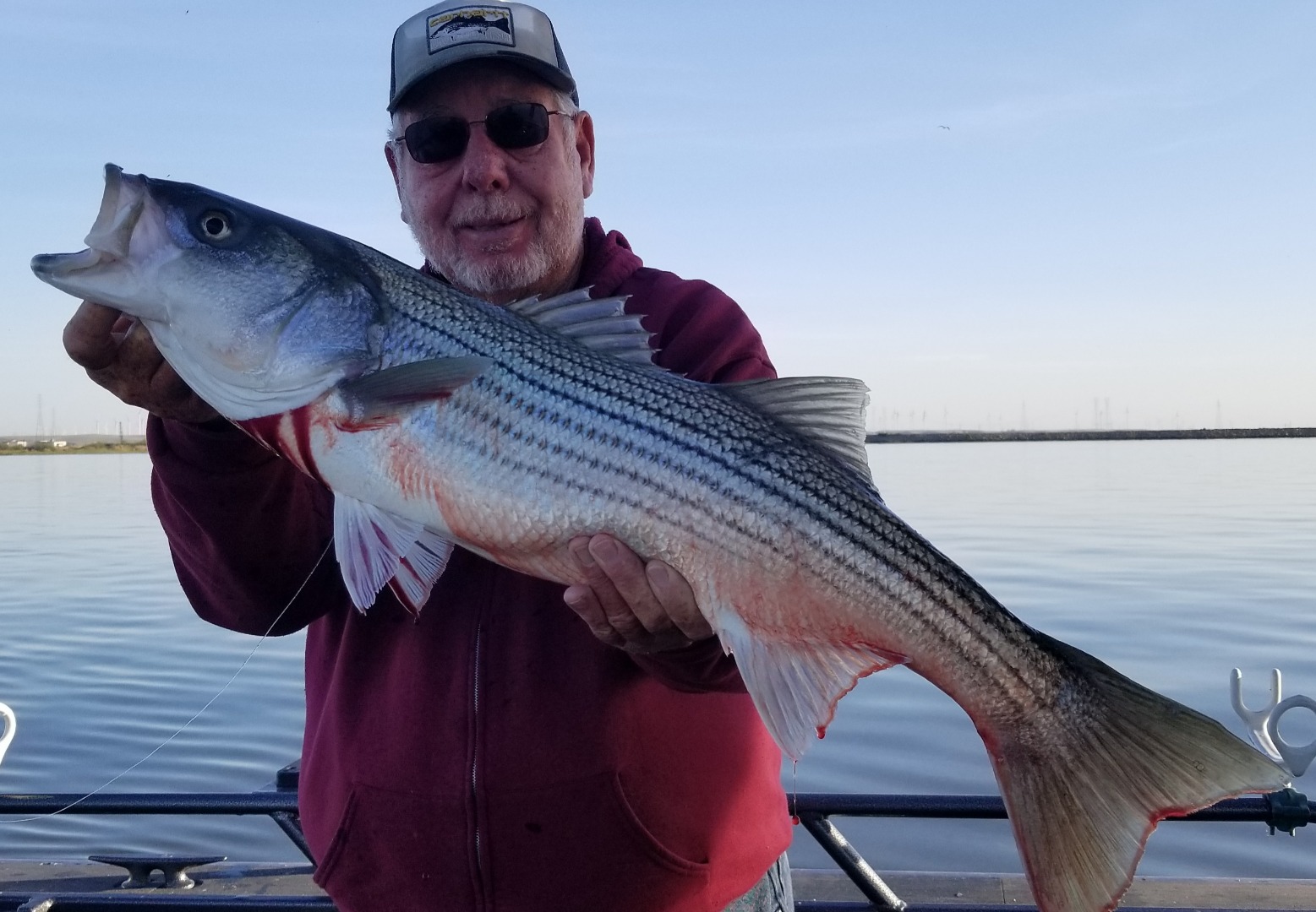 Sacramento River Fish Report - CA