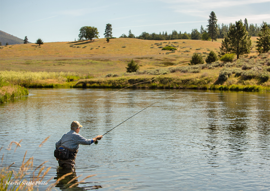 Reality of The Hat Creek Trout Opener