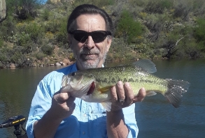 Bartlett Fishing Report - Mesa, AZ