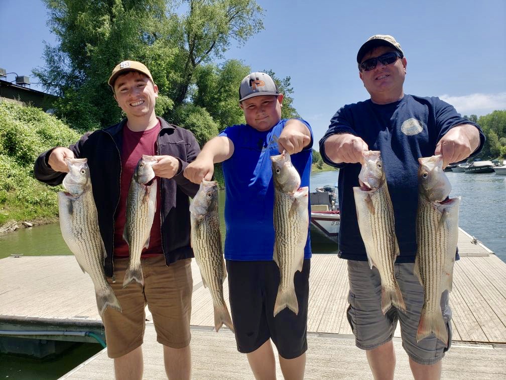 Striped bass fishing keeps producing!