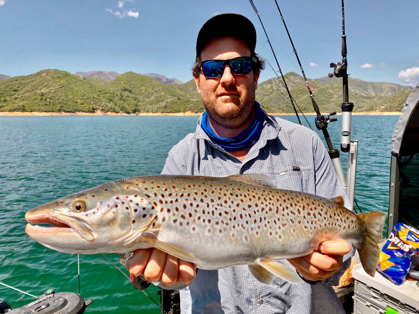 Big browns still biting on Shasta Lake!