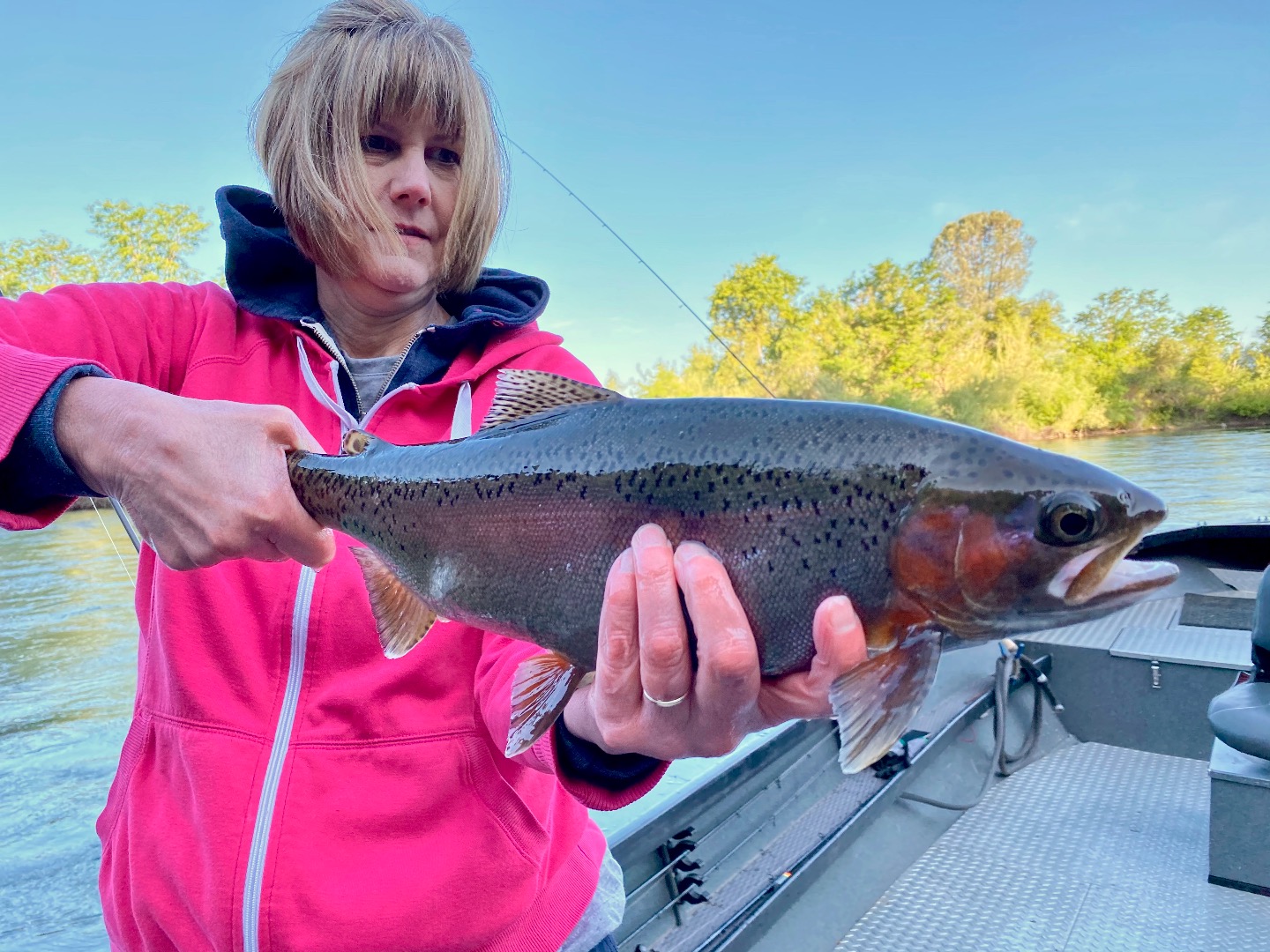 Fishing Wild rainbow trout bite is great!