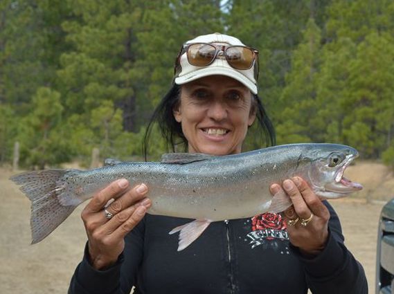 Nice Trout Out of Davis Lake