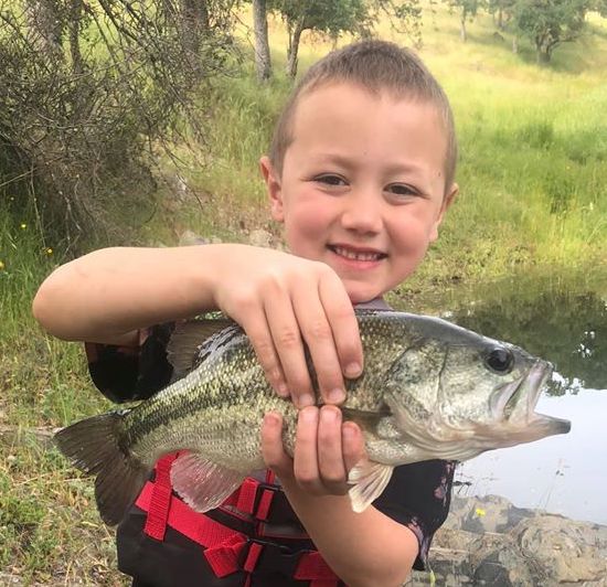 Lake Amador Bass