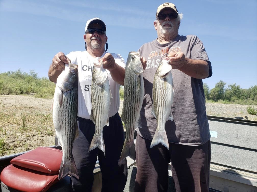 Still on the Stripers in Colusa!
