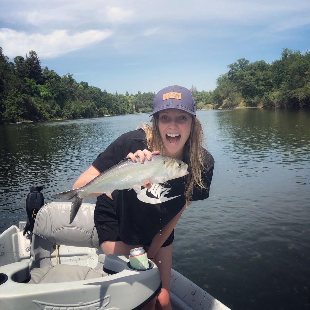 Friday Shad Fishing