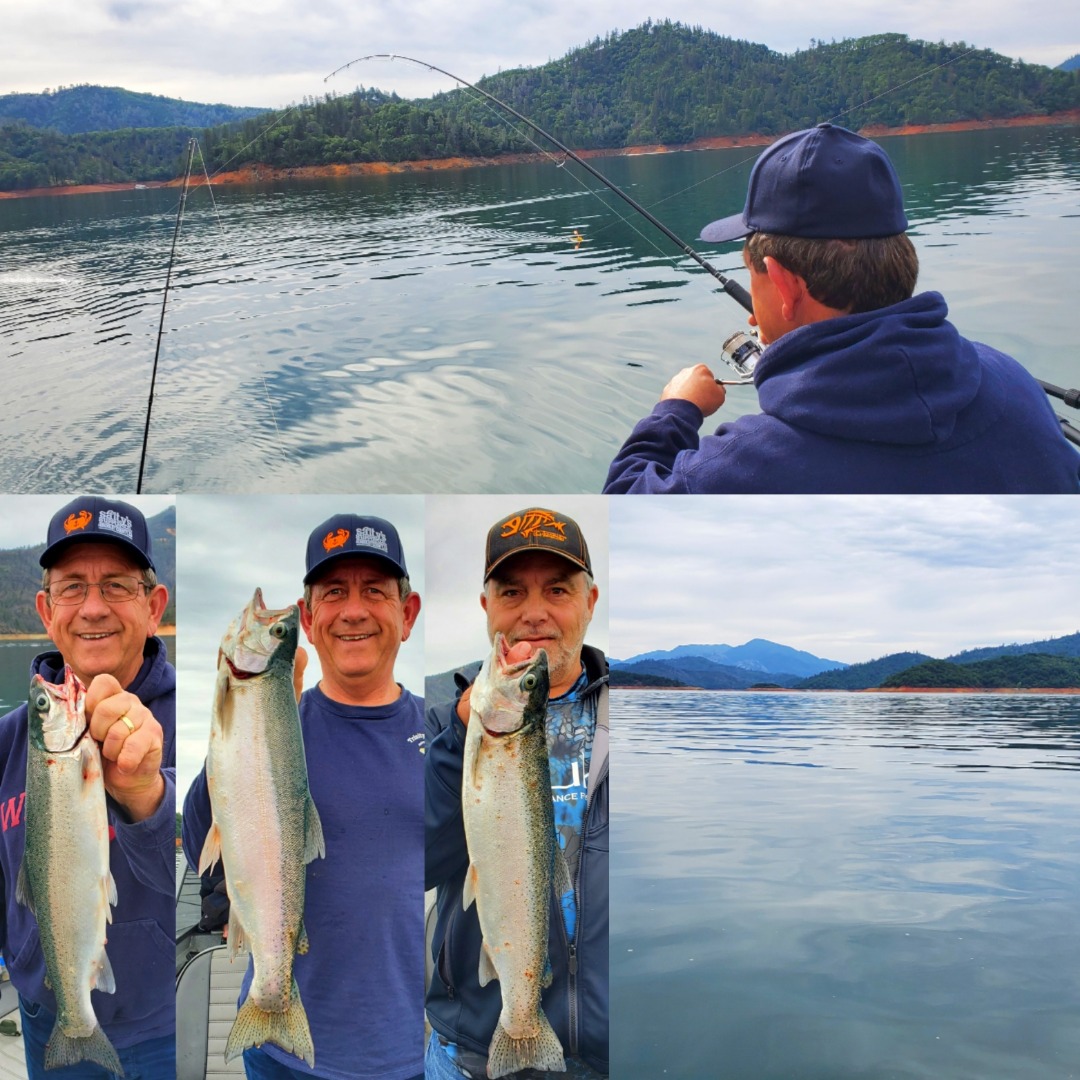 Dinner Plate Trout - Shasta Lake