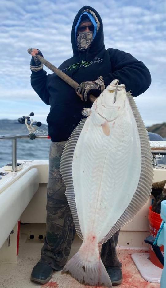 Halibut up to 25 Pounds