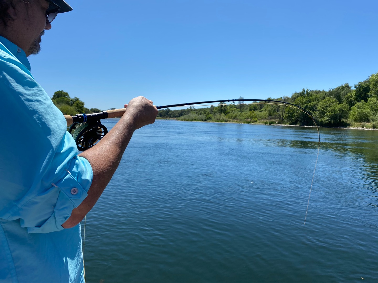 Shad Action Heating Up!