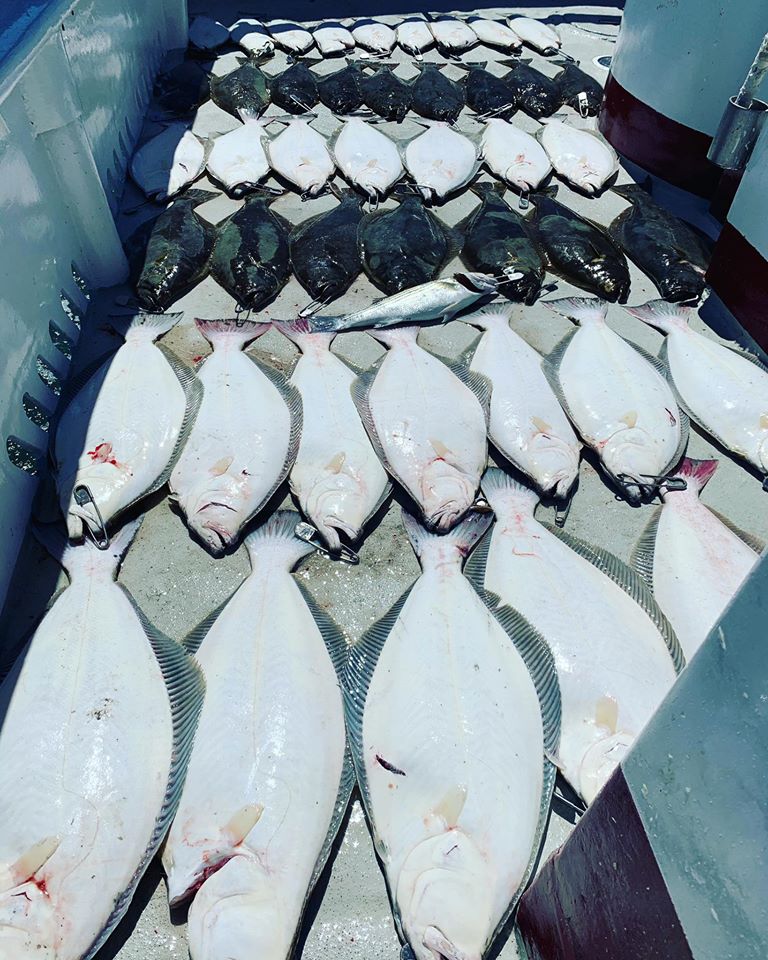 Halibut Fishing Hit The Next Gear!