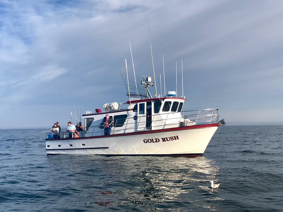 Fish Report Gold Rush Charters ReOpening May 28th