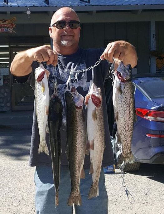 Twin Lake Lower Fish Report - Bridgeport, CA (Mono County)