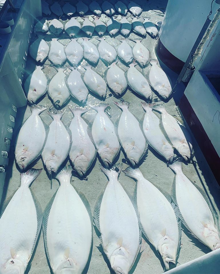 Full Limits of Halibut!