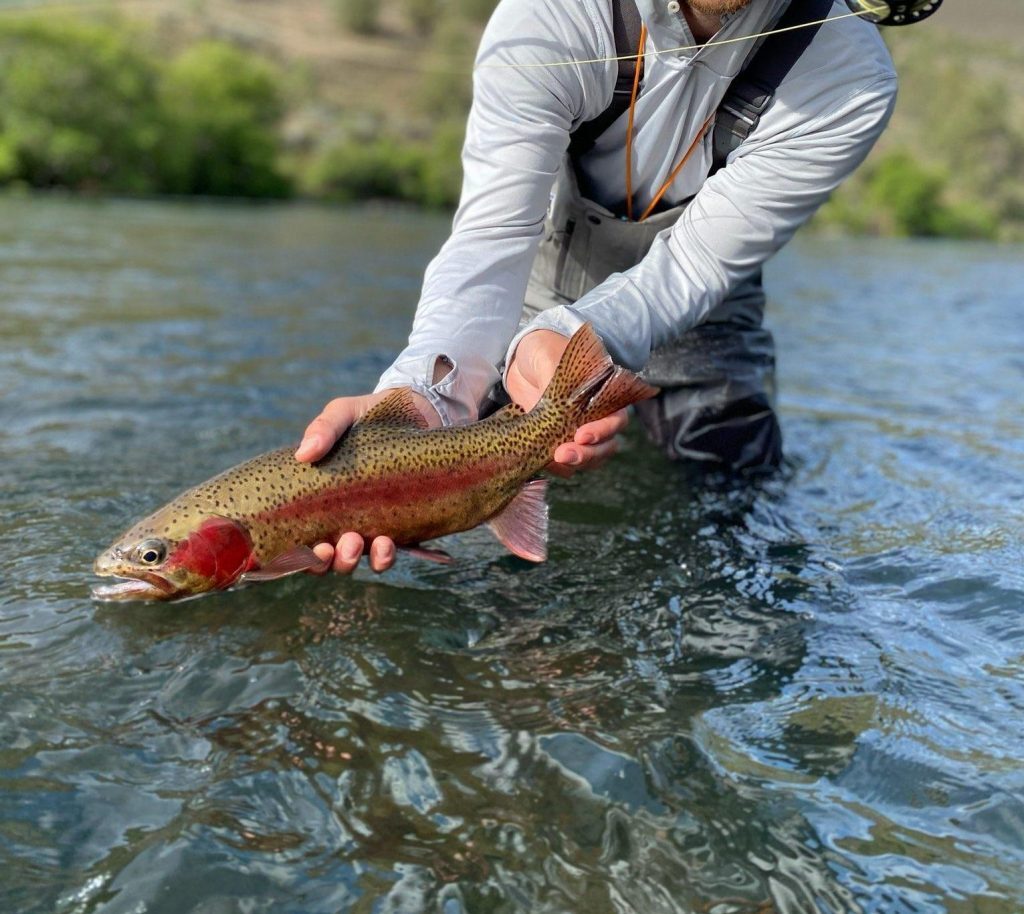 Deschutes River Fly Fising