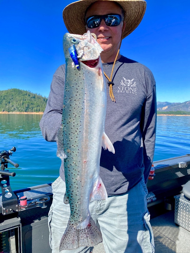 Big numbers on Shasta Lake this week!