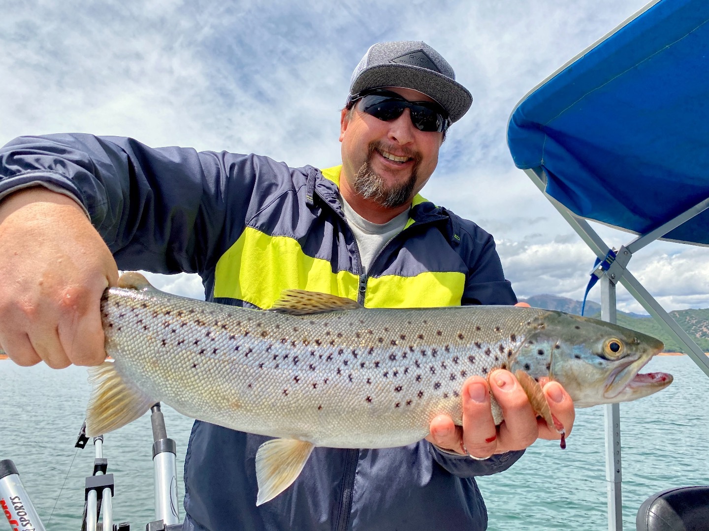 Big bite on Shasta Lake today!